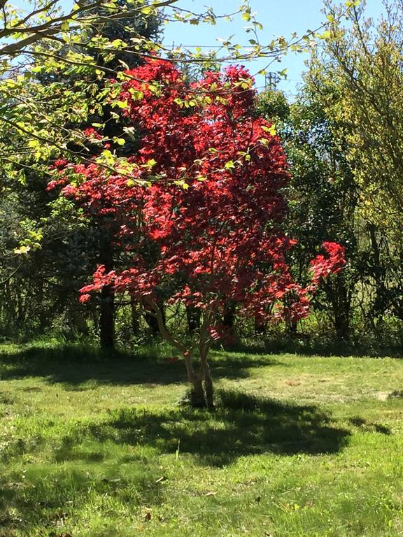 Agriturismo Le Due Arcate Villa San Massimo  Kültér fotó